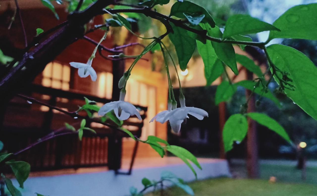 Rai Lung Tui Homestay Prachuap Khiri Khan Exterior photo